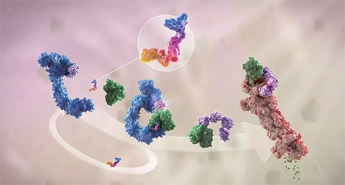 LYTAC出生，，，与PROTAC并肩作战针对不可成药的靶点