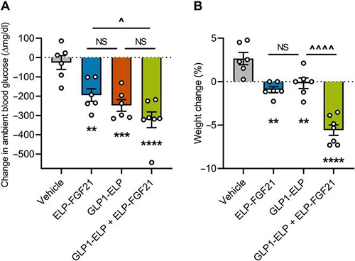 GLP-1和FGF21配合治疗增强了单药治疗的血糖降低和体重增添抑制作用 豪门国际官网