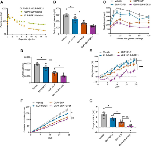 GLP1-ELP-FGF21双激动剂融合卵白对血糖和体重具有有用且持续的作用 豪门国际官网