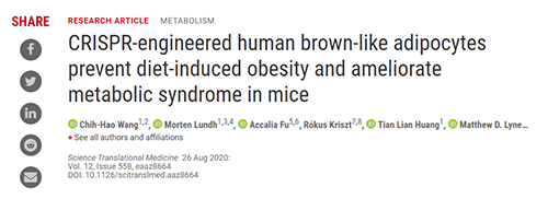 Science|聚焦CRISPR：：刷新脂肪细胞，，“躺瘦”可能要成真了？