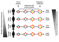 事实为什么ICB疗法在年轻女性肿瘤患者体内收效甚微？？？