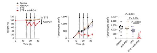 与比照组及仅使用PD-1疗法的模子小鼠比照，，接纳短期饥饿配合PD-1疗法的393P细胞同源移植肿瘤小鼠体内的肿瘤体积有了显着的缩短。。。