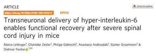 Nature：：：还瘫痪患者一个自由身的日子不远了