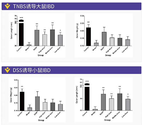 TNBS诱导的大鼠IBD、、DSS诱导的大鼠IBD