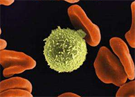 Science子刊：一种FDA批准的抗腹泻药物可有用反抗化疗的耐药性