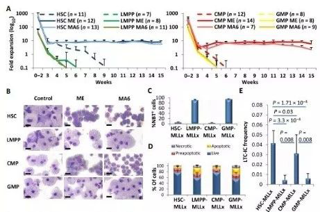 Science子刊：：一种FDA批准的抗腹泻药物可有用反抗化疗的耐药性 豪门国际官网生物医药