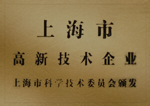 上海市高新手艺企业