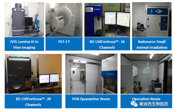豪门国际官网药理部拥有IVIS Lumina III, PET-CT, BD LSRFortessa-16，Flow Cytometry等仪器
