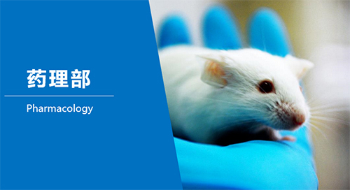 豪门国际官网临床前研究-药理部