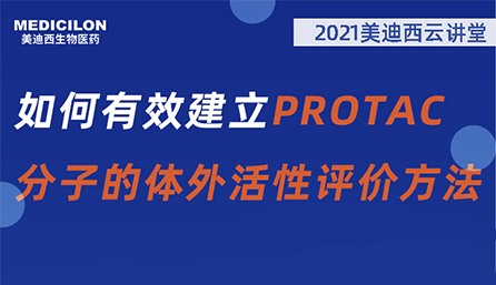 【云课堂】：怎样有用建设PROTAC分子的体外活性评价要领？