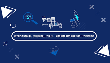 在ELISA实验，，怎样制备分子量小、、、免疫原性弱的多肽药物分子的抗体？？？