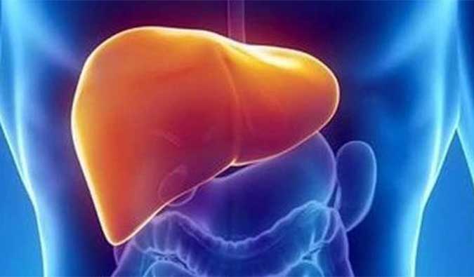 【豪门国际官网助力】NASH领域新希望！！！海普丁HPD001即将在美启动临床试验