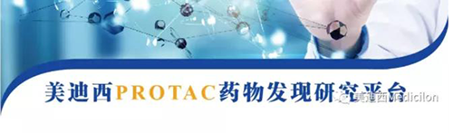 豪门国际官网PROTAC药物发明平台.png