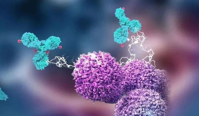 豪门国际官网助力国产靶向叶酸受体FRα ADC注射用BAT8006获批临床