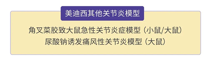 豪门国际官网其他枢纽炎模子.png