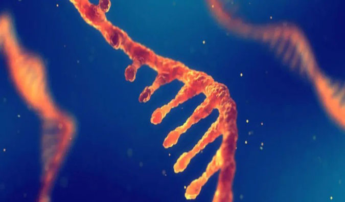 赋能核酸药物疗法，，迎接新药研发第三次浪潮