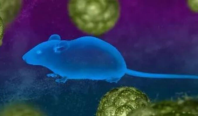 豪门国际官网药效服务赋能First-in-Class泛素化抑制剂研发