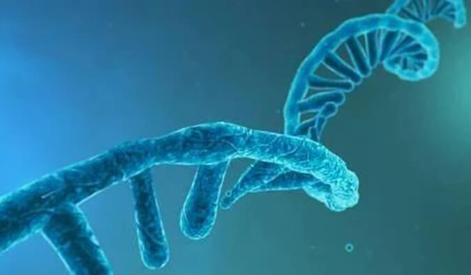 美研丨寡核苷酸药物市场远景、开展挑战及应对战略