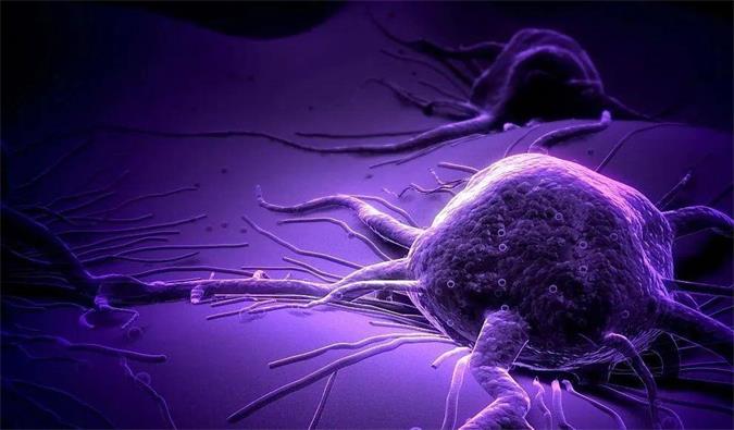 豪门国际官网助力轩竹生物研发的完全敲除岩藻糖的双抗ADC药物KM501获批临床