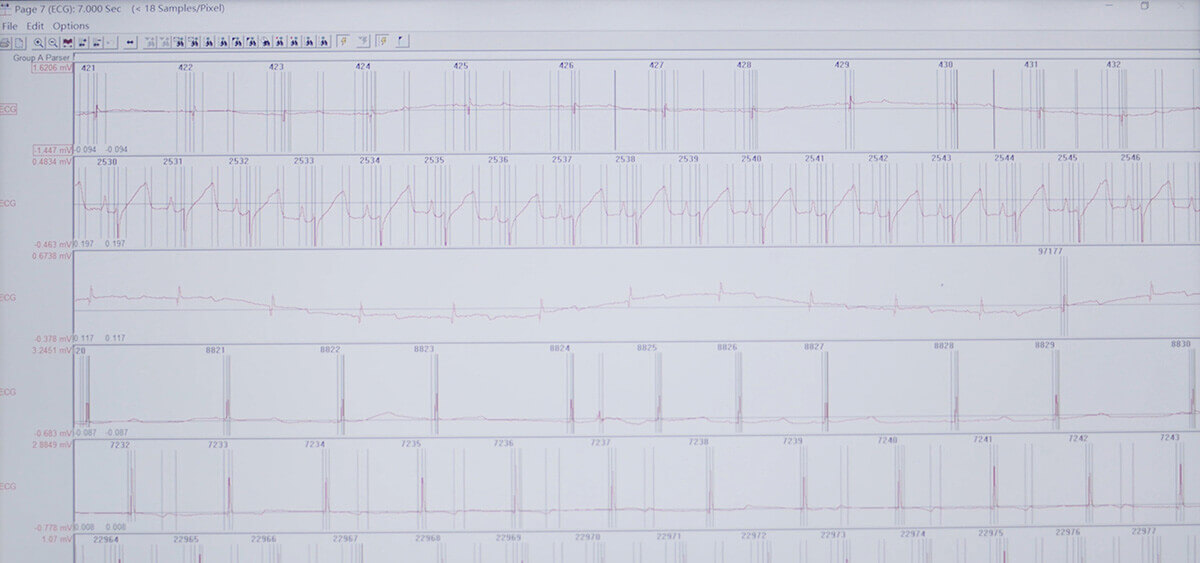 豪门国际官网 SEND 数据转换平台