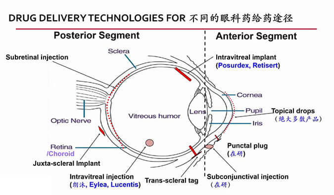 【内附回放+下半场预约】豪门国际官网眼科药物专题钻研会上半场精彩回首