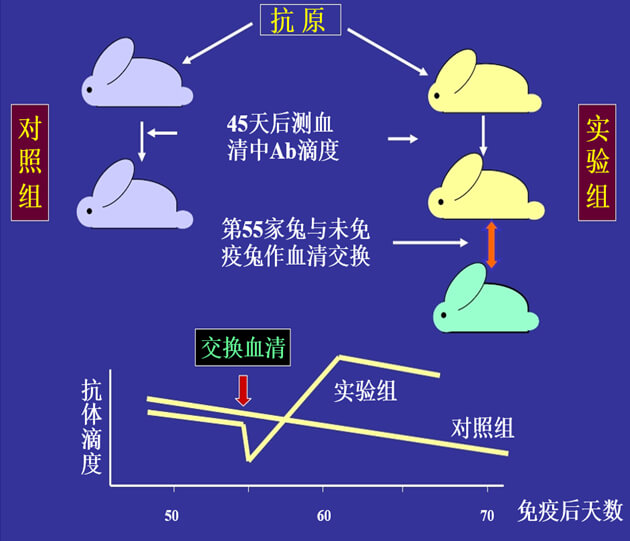 Figure-1：：机体反抗体浓度转变的感知与反馈性自我调理.jpg