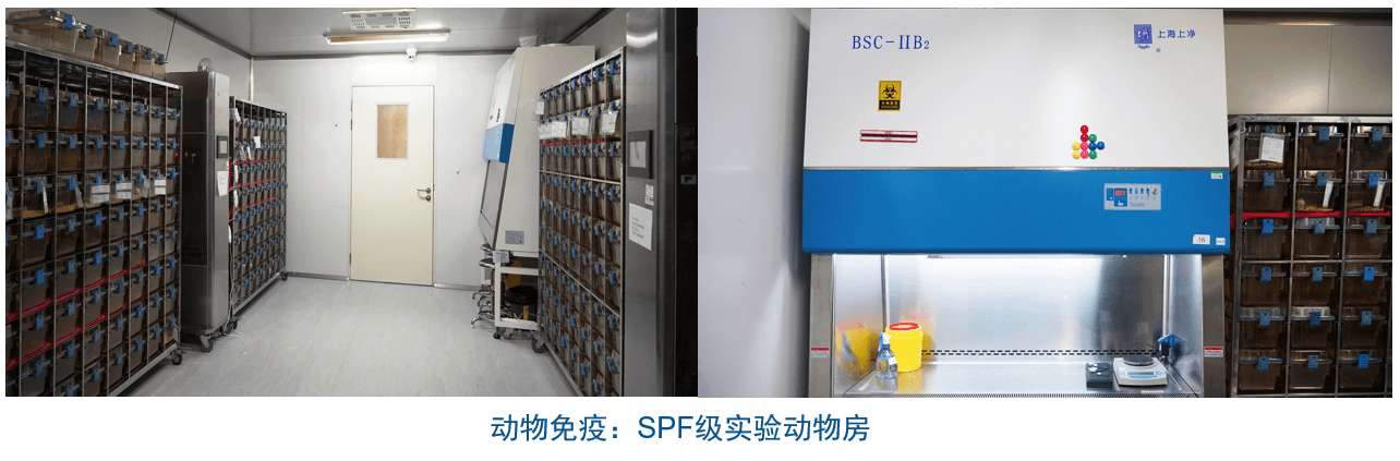 豪门国际官网杂交瘤手艺平台装备-动物免疫SPF级实验动物房