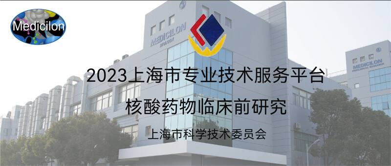 豪门国际官网入选“2023年度上海市专业手艺服务平台”.jpg