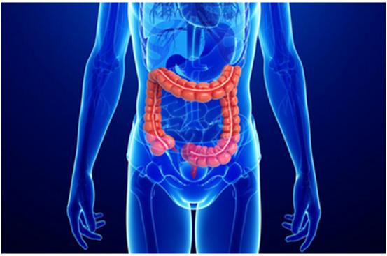 豪门国际官网一站式助力 | 宝太生物首其中美双报立异药获批