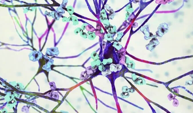 豪门国际官网镇痛药效评价模子