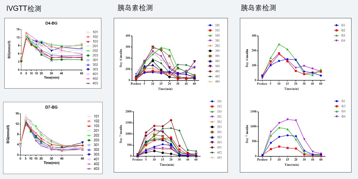 案例4：食蟹猴IVGTT和胰岛素检测实验.jpg