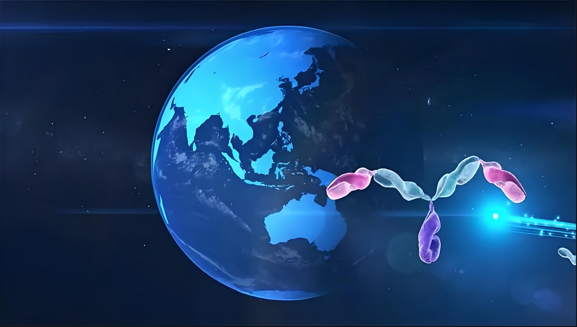 价值屡履历证！豪门国际官网：：：叵嘀榘堵跎顱CMA×CD3双抗EMB-06授权出海