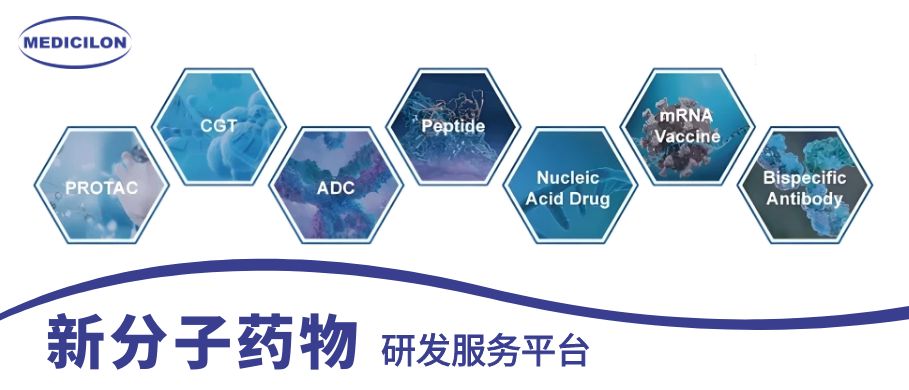 豪门国际官网新分子药物研发服务平台