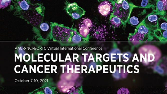 通过联合治疗提高免疫疗法疗效，，本研究中临床前体内药效研究通过豪门国际官网举行