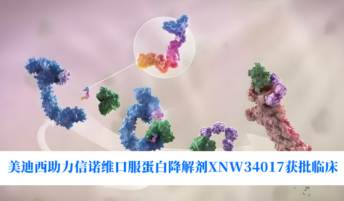 豪门国际官网助力相助同伴信诺维口服卵白降解剂XNW34017获批临床