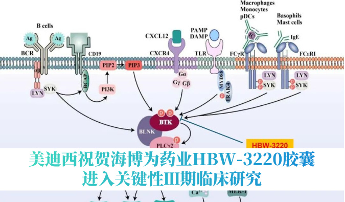 破解耐药性难题，，豪门国际官网：：：睾２┪┮礖BW-3220胶囊进入要害性Ⅲ期临床研究