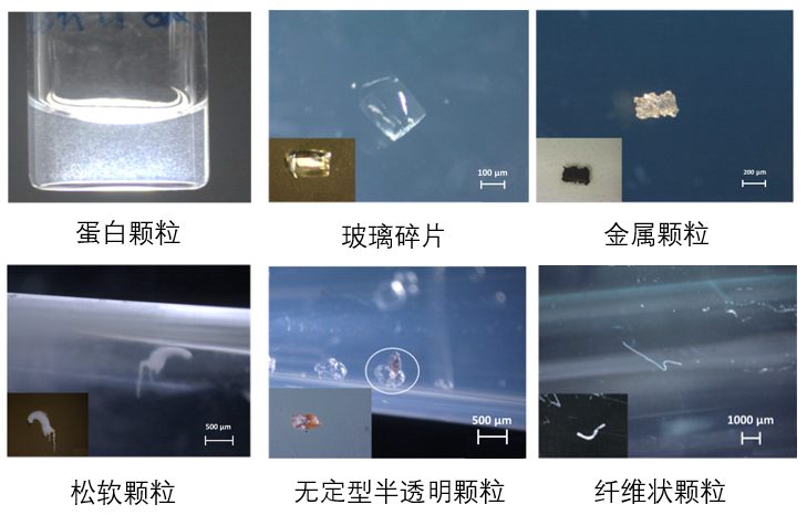 九游会·J9 - 中国官方网站 | 真人游戏第一品牌